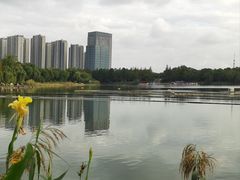 -南翔镇银翔湖公园