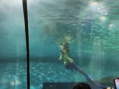 -苏州海洋馆