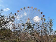 -田野绿世界