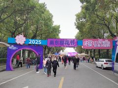 -高东镇樱花园