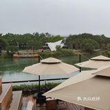下雨天欣赏了不一样的风景—东莞-落日咖啡