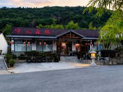 -呼吸森林·生态农庄农家乐私房菜