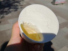 -多立亚冰激凌(塔城多立亚分店)