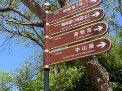 -音乐台