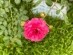 -人民公园(罗湖区)