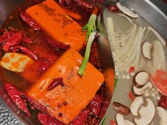 -小媳妇重庆火锅(海莲路店)