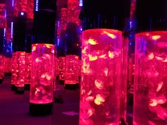 -成都浩海立方海洋公园