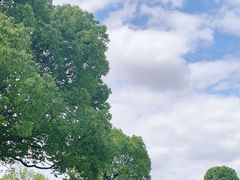 -上海月湖雕塑公园