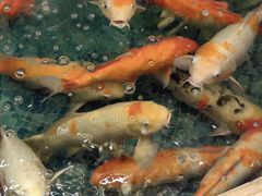 -北京新世纪饭店(动物园地铁站店)