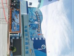 -乌鲁木齐海洋馆