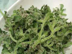 iphone_upload_pic-申宴酒楼(王子百货店)