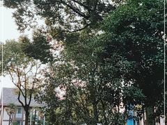 -太阳岛旅游度假区