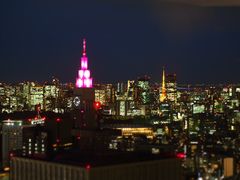 -东京都厅舍