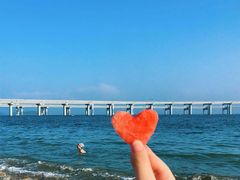 -星海湾跨海大桥