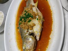 秘制豆酱蒸黄鱼-功夫汤粤港餐厅(锦业路店)