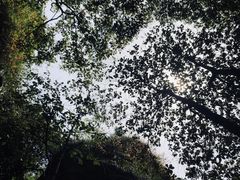 -马仁奇峰