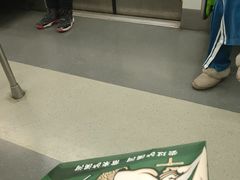 -大望路(地铁站)