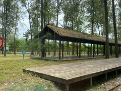 -合肥滨湖国家森林公园