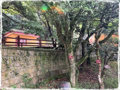 -普陀山风景区-佛顶山