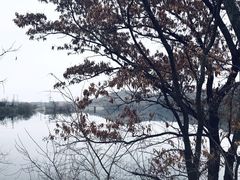 -金龙寺国家森林公园