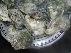 -蚝专家(北滘店)