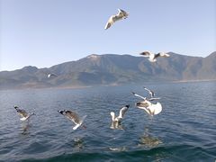 -丽江泸沽湖景区