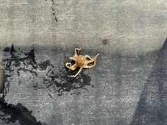 -山东大学(威海校区)