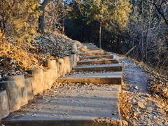 -北京西山国家森林公园