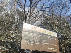 -紫金山山顶公园