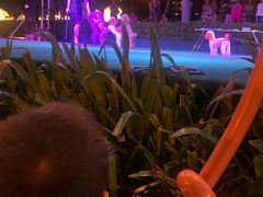-渔家火锅·海鲜自助餐·演艺(亚龙湾天域酒店)