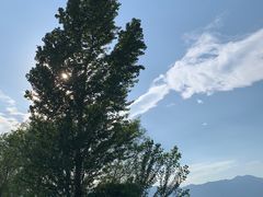 -野鸭湖国家湿地公园