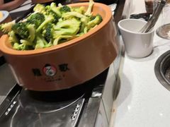 -龍歌自助小火锅(兰山上海路万达店)
