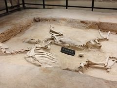 -洛阳周王城天子驾六博物馆