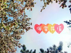 -海棠花溪(元大都城垣遗址公园)