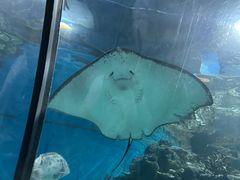 -福州罗源湾海洋世界旅游区