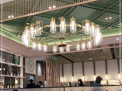 -胜博殿霸王树(嘉里中心店)