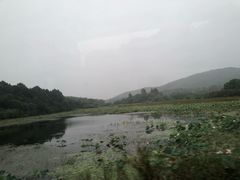 -池州市平天湖风景区