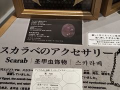 -东京国立博物馆