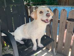 -汪说喵讲宠物乐园宠物酒店(红星美凯龙店)