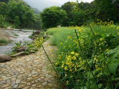-广州市石门国家森林公园