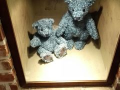 -济州岛泰迪熊博物馆