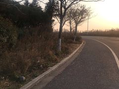 -南汇嘴观海公园