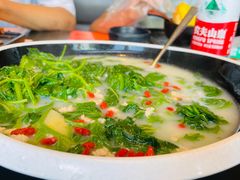 鸽汤桑叶-羽鸽集·乳鸽专门店·地道顺德菜(岭南站店)