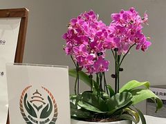 -鼎鼎香·港式火锅(北京SKP店)