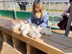 -上海长兴岛郊野公园