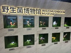 -广州天河城购物中心