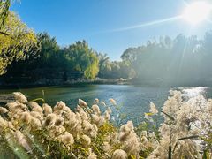 -三忘湖 SWANSEEN(柳荫公园店)