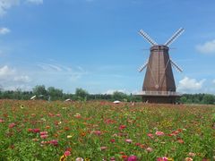 -漩门湾国家湿地公园