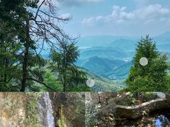 -莫干山风景区