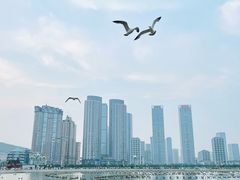 -星海广场